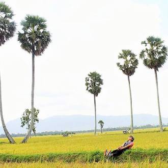 MEKONG TRAVEL